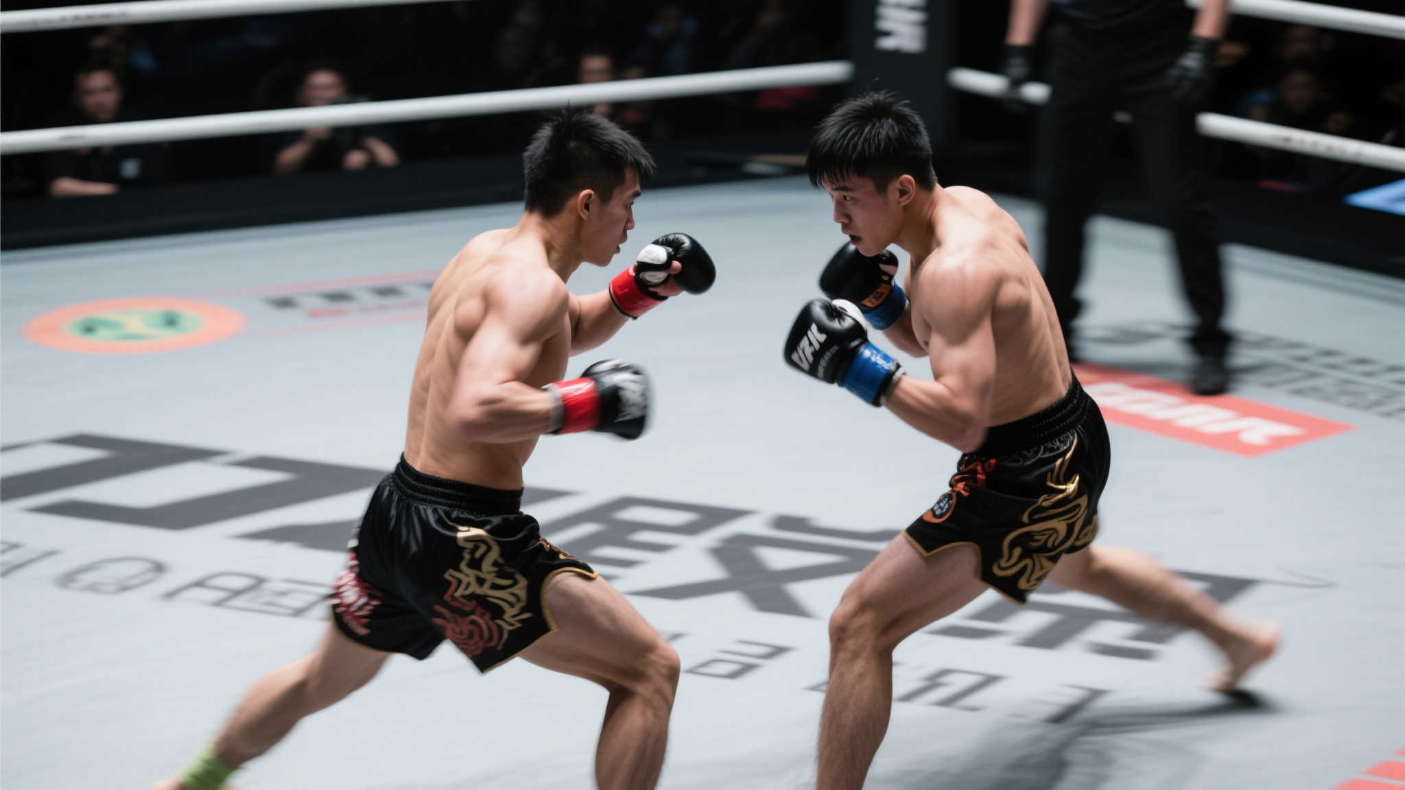 精彩的视觉 精彩的视觉